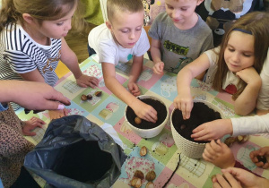Dzieci wkładają orzechy i kasztany do doniczek